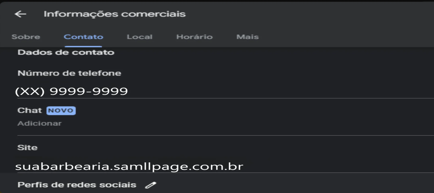Captura de tela da seção de Informações Comerciais do Google Meu Negócio, mostrando as opções de edição de dados de contato, como número de telefone, chat (novo), site e perfis de redes sociais